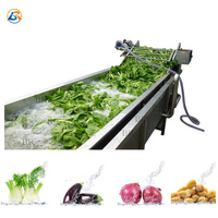 Volledige Automatische Schoon Wortel Bladgroenten Groente Asperges Wassen Verwerking Lijn/Fruit Wassen Productielijn