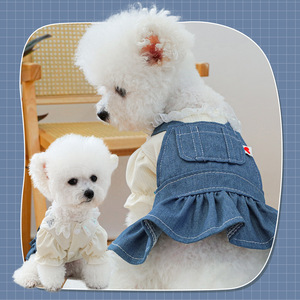 Collezione di fiori in Denim OEM per cani di piccola e media taglia tuta a fiori rossi abito con gonna tascabile vestiti per gatti - Product Image 2