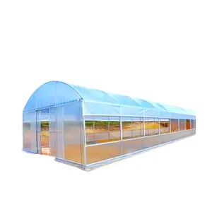 Hoop Agricultural Steel Frame Structure Greenhouse Tunnel Green House