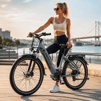 [Offre Spéciale] Stock Disponible en Entrepôt UE/Royaume-Uni Vélo Électrique Urbain Koolux X2 250W 26'' en Alliage d'Aluminium 48V Ebike en Liquidation
