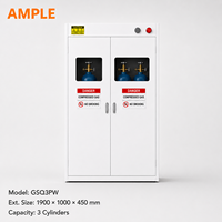 Armoire de stockage pour 3 bouteilles de gaz en acier blanc avec rampe de chargement, personnalisable OEM ODM pour laboratoire, usine, entrepôt, approvisionnement B2B