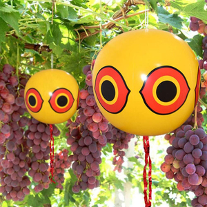 Globo Inflable Repelente de Aves con Diseño de Ojo de Depredador, de PVC, para Escajar Aves en Viñedos, Huertos y Granjas - Product Image 2