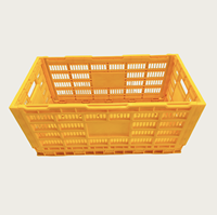 BERYS Bacs à œufs empilables en plastique pour 240 œufs, paniers de rangement pliables, boîtes mobiles, rouge, état neuf, usage domestique, usage avicole