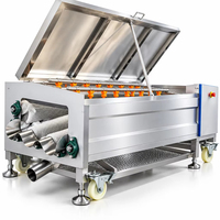 Fruit- en wortelgroente schilmachine met borstelrol voor het reinigen van aardappelen, gember en wortelen