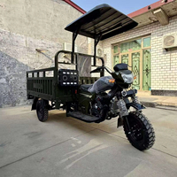 Tricycle agricole à moteur essence 200cc à carrosserie ouverte, grande capacité de chargement, démarrage électrique