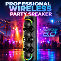 Enceinte portable sans fil pour fêtes, lumière LED RGB, microphone intégré, alimentation par batterie, chargement USB, plastique, 30W RMS pour karaoké