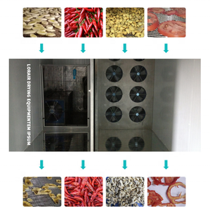 Essiccatore Commerciale per Pesce/Attrezzatura per Essiccare il Pesce/Essiccatore per Pesce - Product Image 6