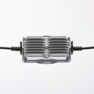 Guirlande lumineuse classique <span class=keywords><strong>de</strong></span> décoration extérieure industrielle LED étanche Linsheng - Product Image 2