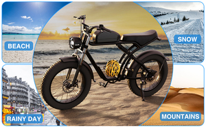 Vélo Électrique OEM avec Pneus Larges de 20 Pouces, Modèle Scrambler HL-L7 - Product Image 6