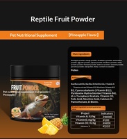 Hagedis Reptiel Gekko Fruitpoeder Probiotica Voedzame Puree voor Blauwtong & Leeuwenmanen Draken Drop Shipping