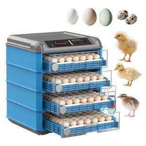 Máy ấp trứng công suất 500 loại Máy ấp trứng tự động ấp nở gà vịt bồ câu-Gà nhiệt độ không đổi - Product Image 1