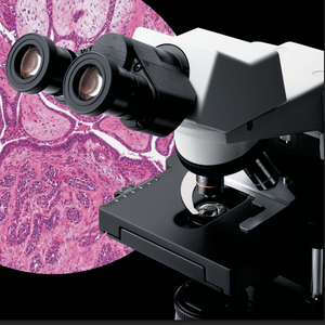 LED 확대 렌즈가 있는 OLYMPUS Cx31 생물학 현미경 및 보증 - Product Image 3