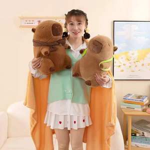 Kapi Bala Nap Dual-In-One Two-in-One Bear Edredón y almohada Super Soft Plush Cartoon Multifuncional Manta al por mayor - Product Image 2