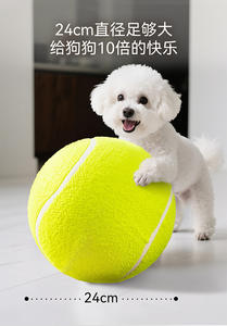 Juguete de tenis para mascotas de nivel 2 de estilo Simple, pelota de entrenamiento microelástica para gatos y perros, goma duradera, incluye todo lo necesario - Product Image 4