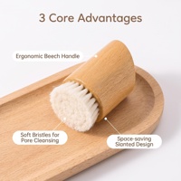 Brosse exfoliante naturelle pour le visage à faible MOQ, mini brosse compacte à manche en bois, nettoyage en profondeur des pores, brosse corporelle sèche pour usage quotidien