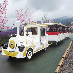 Tren turístico sin rieles para parques de atracciones, trenes de atracciones en venta - Product Image 6