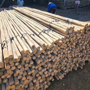 ขายส่งไม้ไผ่แท่งกลม ไม้ไผ่ธรรมชาติ สำหรับงานเกษตร สวน รั้วตาข่าย และค้ำยันต้นไม้ ราคาพิเศษ - Product Image 1