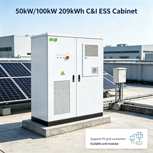 50kW 100kW 209kWh ESG Cabinet Air Cooled Outdoor Battery <b>Energy</b> <b>Storage</b> <b>System</b> for Solar PV - Product Image 2