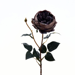 Rosa Artificiale C-119 Stile Retrò Effetto Invecchiato Rosa Polveroso Verde <span class=keywords><strong>Blu</strong></span> Austin Stelo Singolo in Seta per Decorazione Casa - Product Image 5