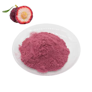 ヤマモモ（紅ヤマモモ、ワックスベリー、ベイベリー）の果実粉末 - Product Image 4