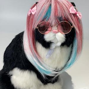 Nouvelle Perruque Longue pour Animaux de Compagnie, Chat, Chien, Universelle, Colorée, Cheveux Longs, Déguisement de Fête, Style Rêveur, Perruque Longue pour Animaux de Compagnie - Product Image 4