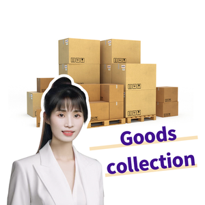 Shenzhen Air Freight Forwarder para LCL + Envío exprés de China a Senegal siguiente Agente de tarifas - Product Image 3