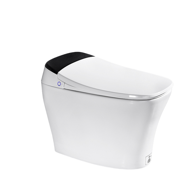 Sundream Smart Toilet Sitting Part Gold Smart Toilet Intelligent Bowl Smart Toilet with Bidet