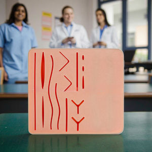 Un modèle <span class=keywords><strong>de</strong></span> <span class=keywords><strong>pratique</strong></span> à double usage pour <span class=keywords><strong>la</strong></span> ponction veineuse et <span class=keywords><strong>la</strong></span> suture des plaies .. - Product Image 6