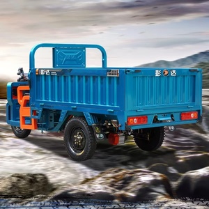 รถมอเตอร์ไซค์สามล้อไฟฟ้าสำหรับผู้ใหญ่ ลดราคาพิเศษ พร้อมระบบปล่อยประจุอัตโนมัติ รถสามล้อบรรทุก ติดตั้งแบตเตอรี่ได้ (อุปกรณ์เสริม) - Product Image 2