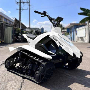 HKBG All-Terrain <b>Mini</b> ETV Electric Snowmobile-High-Power ET8 Eec Certified 50km Range 2WD 50Km/h for Thrill Seekers - Product Image 4