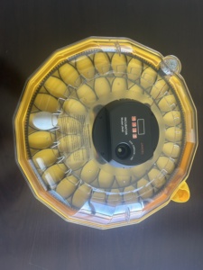 Nouvel incubateur <span class=keywords><strong>automatique</strong></span> mini <span class=keywords><strong>Janoel</strong></span> avec un taux d'éclosion de 99 % pour poulets, canards, oies, oiseaux, pigeons, cailles, autruches - Product Image 6
