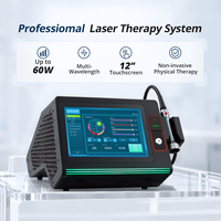 Appareil de thérapie laser haute puissance pour clinique vétérinaire, soulagement de la douleur et récupération tissulaire pour chiens, chats, chevaux et petits animaux
