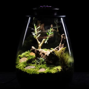 <span class=keywords><strong>Terrarium</strong></span> Moderne Verre UFO Lumière Plantation Bouteille Unique Élégant Mur Vase Décor À La Maison Bohème Conception Occasions De Tous Les Jours - Product Image 3