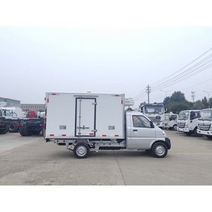 Camioneta Refrigerada Pequeña Manual <span class=keywords><strong>de</strong></span> Gasolina Wuling Nueva <span class=keywords><strong>de</strong></span> Alta Calidad en Venta - Product Image 5