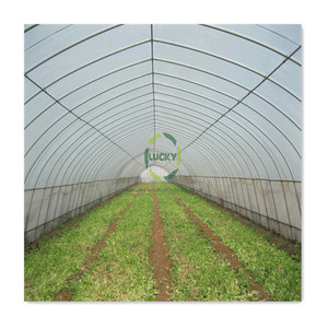 <span class=keywords><strong>Container</strong></span> Cao Đường Hầm Nhôm Hồ Sơ Duy Nhất Khoảng Dâu Tây Trồng Cây Màu Xanh Lá Cây Nhà Nông Nghiệp Cho Cà Chua - Product Image 5