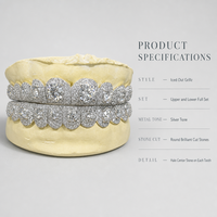 Ensemble de Grillz personnalisés sertis de pierres, style Hip Hop Rapper, bijoux dentaires Halo Stone pour hommes et femmes, pour fêtes et scènes, couleur argent