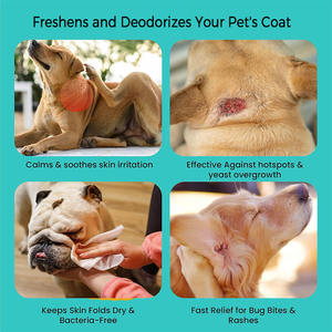 ผงทำความสะอาดสำหรับสัตว์เลี้ยงแบบไม่มีน้ำเสื้อโค้ทสำหรับดูแลสัตว์เลี้ยงไม่มีซัลเฟตแป้งพาราเบนไม่มีกลิ่นไม่ระคายเคืองผงแชมพูแห้งสำหรับสุนัขและแมว - Product Image 6