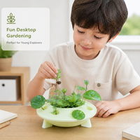 Pot de fleurs en plastique de petite taille pour plantes succulentes, forme OVNI, avec trou de drainage, décoration de bureau à domicile, couleur personnalisée