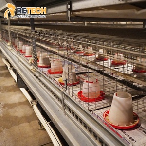 Tự động pullet gà lồng nâng cao hệ thống gia cầm trang trại thiết bị cho nhỏ gà lớn trang trại - Product Image 4