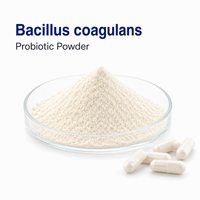 Poudre de culture probiotique de Bacillus Coagulans de qualité alimentaire, OEM, marque privée, approvisionnement en vrac