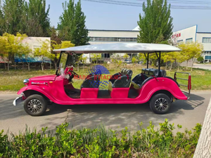 Adquiera una Belleza Clásica: Explore Nuestra Gama de Autos Clásicos en Venta, Ideal para Coleccionistas y Entusiastas del Automóvil - Product Image 6