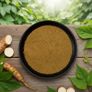 Leverancier van hoogwaardig Kudzu-wortelextractpoeder 10:1 20:1 Kudzu-wortelextract - Product Image 1