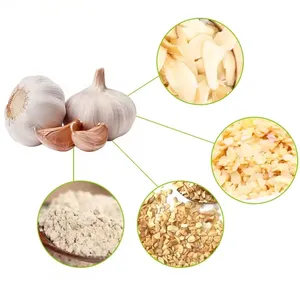 2024 New Crop Dehydrated Sliced Garlic Dry Garlic Flake For Sale