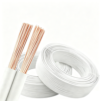 2-adriges 0,3mm²-2,5mm² RVB Flachkabel PVC-isoliert Verzinntes Kupfer LED-Beleuchtungskabel