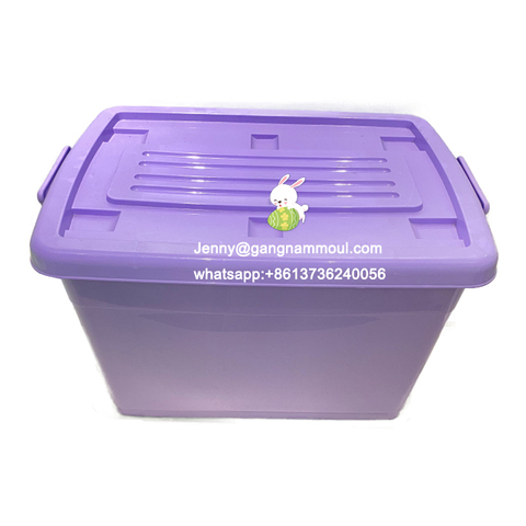 Plastic Storage Box Moulds Maker Household Clothes Box Mold Moving Container Mould Factory in Taizhou China