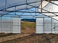 Serre agricole en polycarbonate en dents de scie pour toit papillon Évent électrique à toit ouvert à travée unique pour légumes