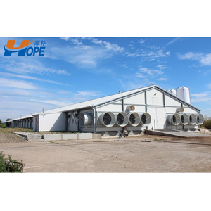 Gà tây gia cầm nhà/gà trang trại đổ - Product Image 5