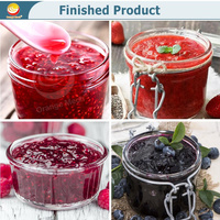 ORME Industriële Jamproductielijn voor tomatenpuree, rode dadelpuree, perenpuree, mangopuree, ananaspuree, graanachtige jam, fruitpuree machines