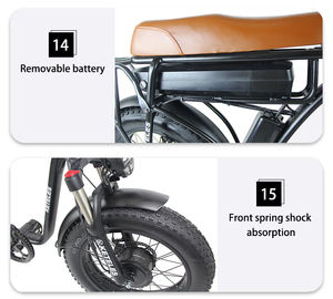 Vélo électrique <span class=keywords><strong>cargo</strong></span> à double <span class=keywords><strong>moteur</strong></span> 2000w, vente en gros - Product Image 3