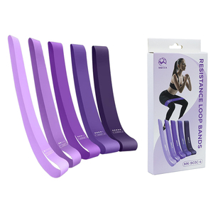 Juego <span class=keywords><strong>de</strong></span> Bandas <span class=keywords><strong>de</strong></span> Resistencia TPE con Logotipo Personalizado, 5 Niveles, 10-50 Libras, Bandas Elásticas para <span class=keywords><strong>Ejercicio</strong></span>, Múltiples Combinaciones <span class=keywords><strong>de</strong></span> Colores en Caja <span class=keywords><strong>de</strong></span> Papel - Product Image 1
